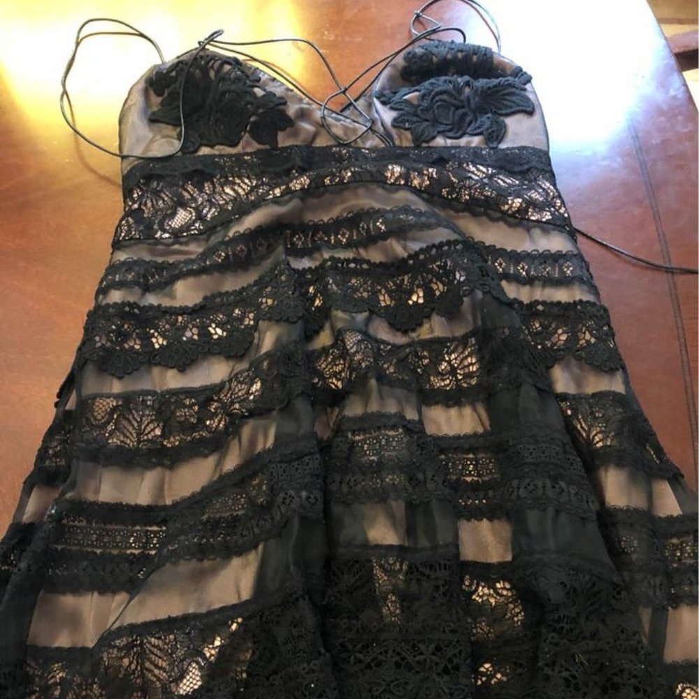 BEBE Lace cocktail/prom dress